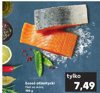 Kaufland Łosoś oferta