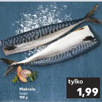 Kaufland Makrela oferta