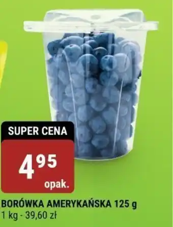 BORÓWKA AMERYKAŃSKA 125 g