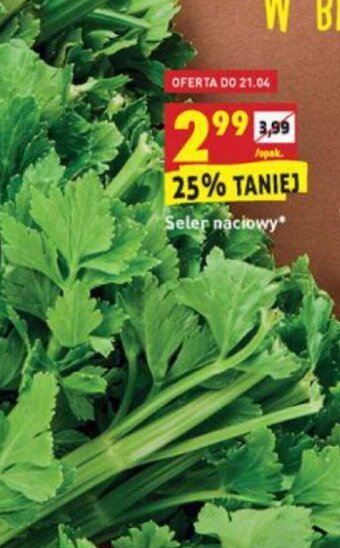 Biedronka Seler naciowy opak. oferta