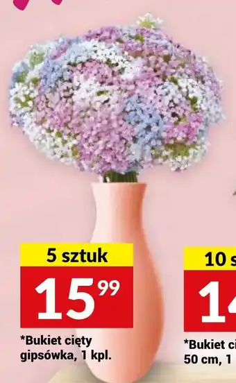 Twój Market Bukiet cięty gipsówka 1 kpl. oferta