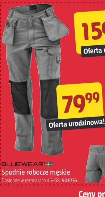 Jula Spodnie robocze męskie Bluewear oferta