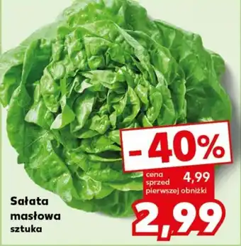 Kaufland Sałata masłowa sztuka oferta