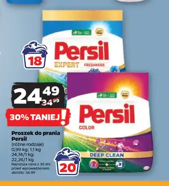 Netto Proszek do prania Persil oferta