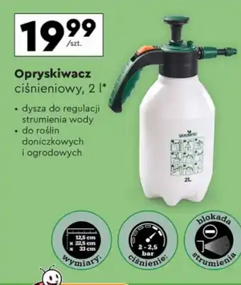 Biedronka Opryskiwacz ciśnieniowy 2l oferta