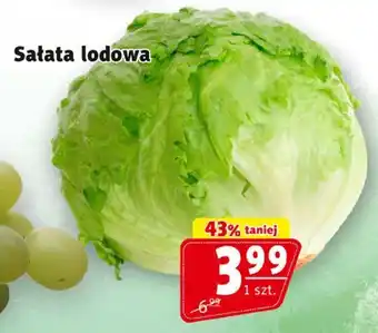 Prim Market Sałata lodowa oferta