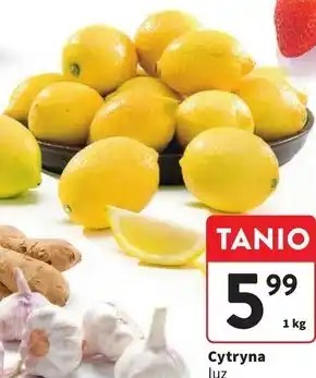 Intermarche Cytryna oferta