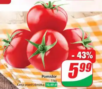 Dino Pomidor 1 kg oferta