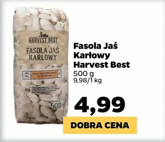 Netto Fasola Jaś Karłowy Harvest Best oferta