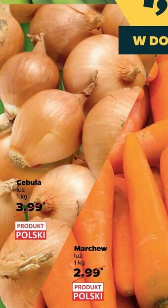 Netto Cebula oferta