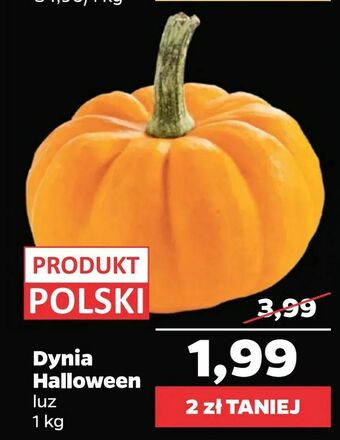Netto Dynia Halloween oferta