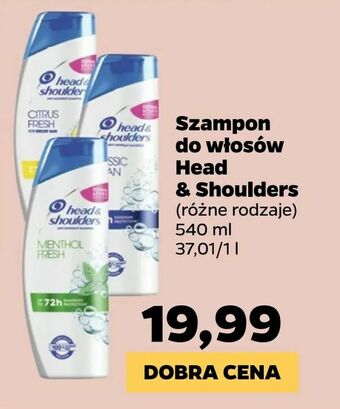 Netto Szampon do włosów Head & Shoulders oferta