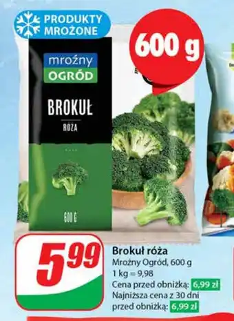 Dino Brokuł róża Mroźny Ogród 600 g oferta