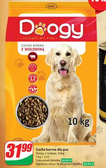 Dino Sucha karma dla psa Doogy 10 kg oferta