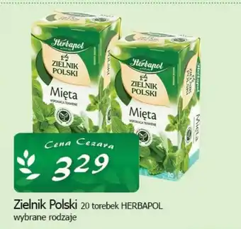 Cezar Delikatesy Zielnik Polski 20 torebek HERBAPOL oferta