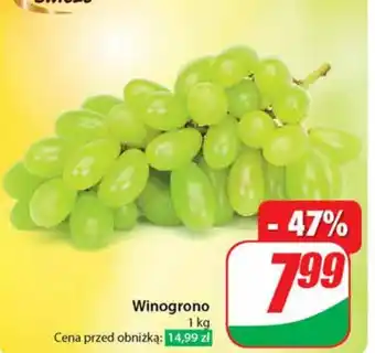 Dino Winogrono 1 kg oferta