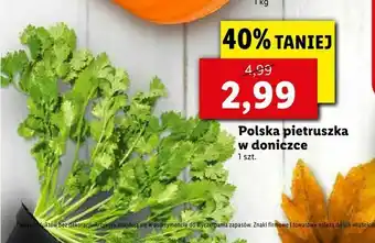 Lidl Polska w doniczce oferta