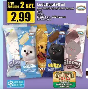 Topaz Lody Koral 90 ml oferta