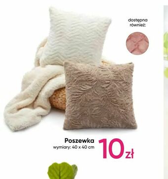 Pepco Poszewka oferta