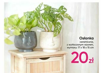 Pepco Osłonka oferta