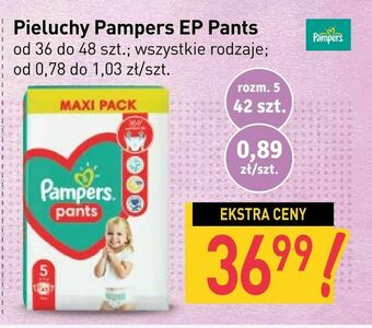 Stokrotka Pieluchy Pampers EP Pants oferta
