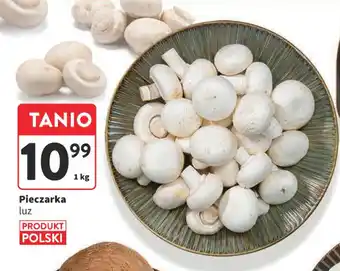 Intermarche Pieczarka 1 kg oferta