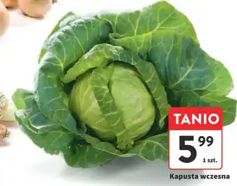 Intermarche Kapusta wczesna oferta