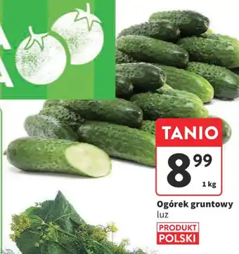 Intermarche Ogórek gruntowy 1 kg oferta