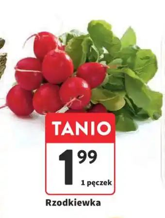 Intermarche Rzodkiewka oferta