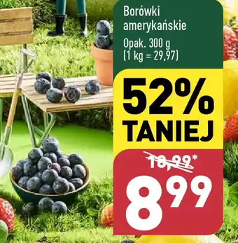 ALDI Borówki amerykańskie 300g oferta