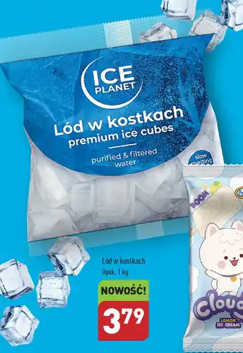 ALDI Lód w kostkach 1 kg oferta