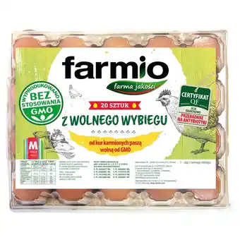 Netto Farmio Jaja z wolnego wybiegu od kur karmionych paszą wolną od GMO M 20 sztuk oferta