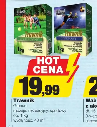 Trawnik Granum