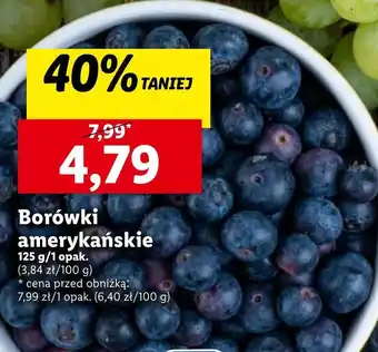 Lidl Borówki amerykańskie oferta