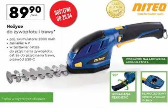 Biedronka Nożyce do żywołpłotu Niteo oferta