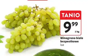 Intermarche Winogrono białe bezpestkowe 1 kg oferta