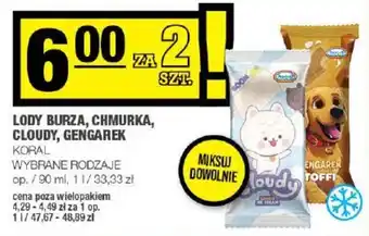 Spar LODY BURZA, CHMURKA, CLOUDY, GENGAREK KORAL 90ML oferta