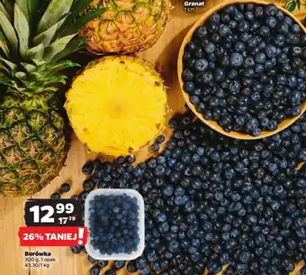 Netto Borówka 300 g oferta