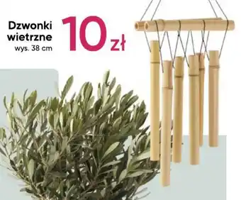 Dzwonki wietrzne