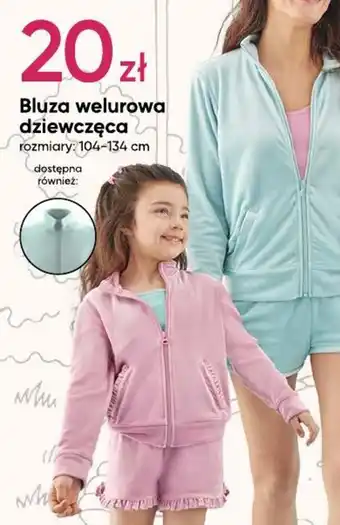 Pepco Bluza welurowa dziewczęca oferta