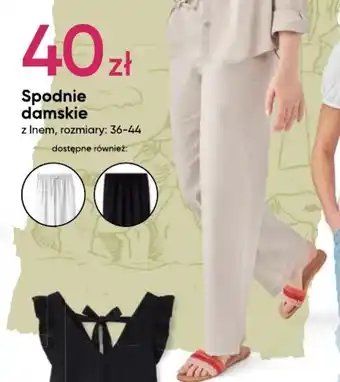 Pepco Spodnie damskie oferta