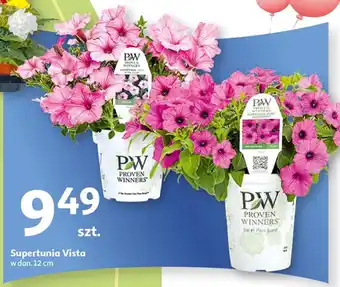 Auchan Supertunia Vista oferta