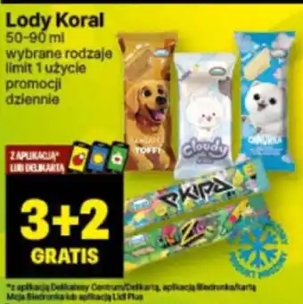 Delikatesy Centrum Lody Koral 50-90 ml oferta