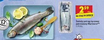 Biedronka Świeży pstrąg tęczowy patroszony Marinero 100g oferta
