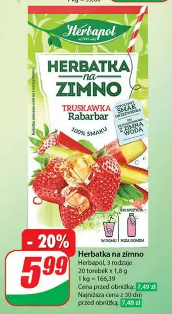 Dino Herbatka na zimno Herbapol, 20 torebek x 1,8 g oferta