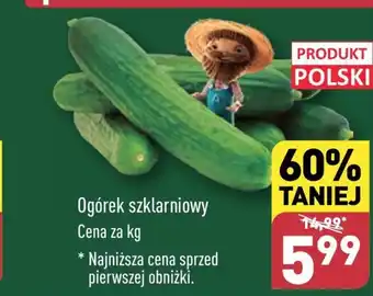 ALDI Ogórek Polski oferta