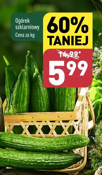 ALDI Ogórek oferta