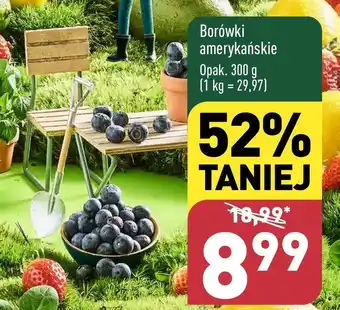 ALDI Borówki amerykańskie oferta