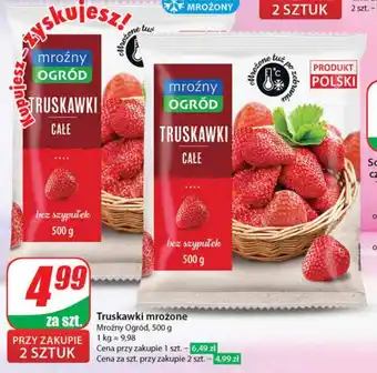 Dino Truskawki mrożone Mroźny Ogród 500 g oferta