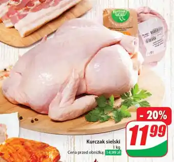 Dino Kurczak sielski 1 kg oferta